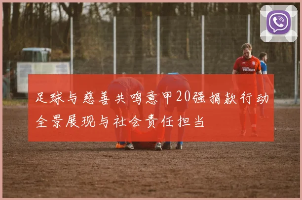 足球与慈善共鸣意甲20强捐款行动全景展现与社会责任担当