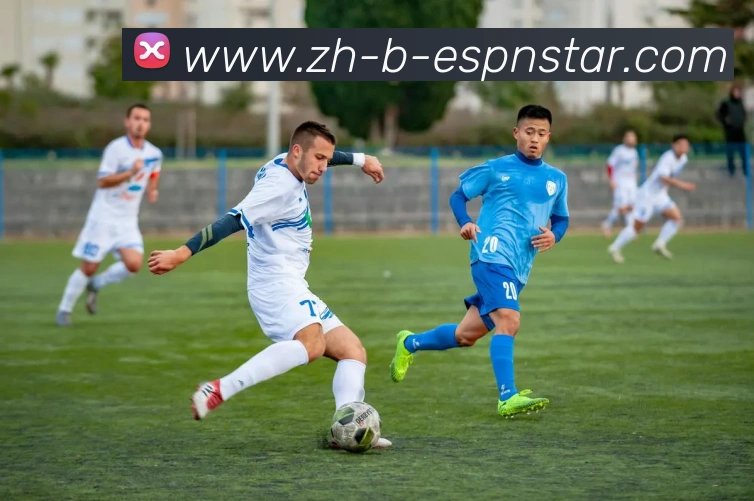 App Interface Preview